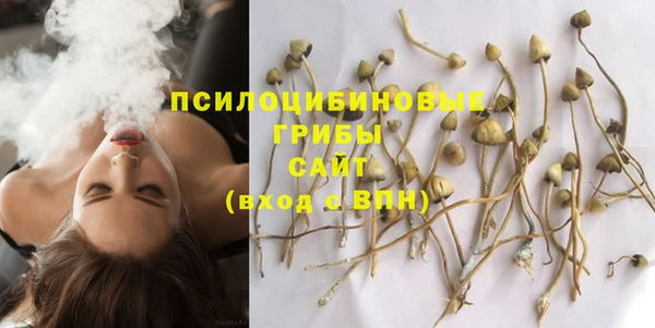 а пвп мука Лиски