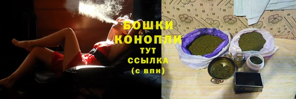 мяу мяу мука Магас