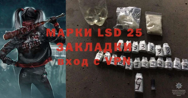 дживик Майский