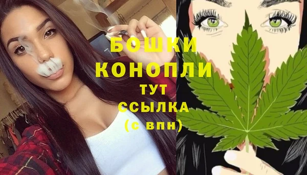 дживик Майский