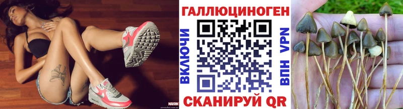 цена   Находка  нарко площадка как зайти  Галлюциногенные грибы Psilocybe 