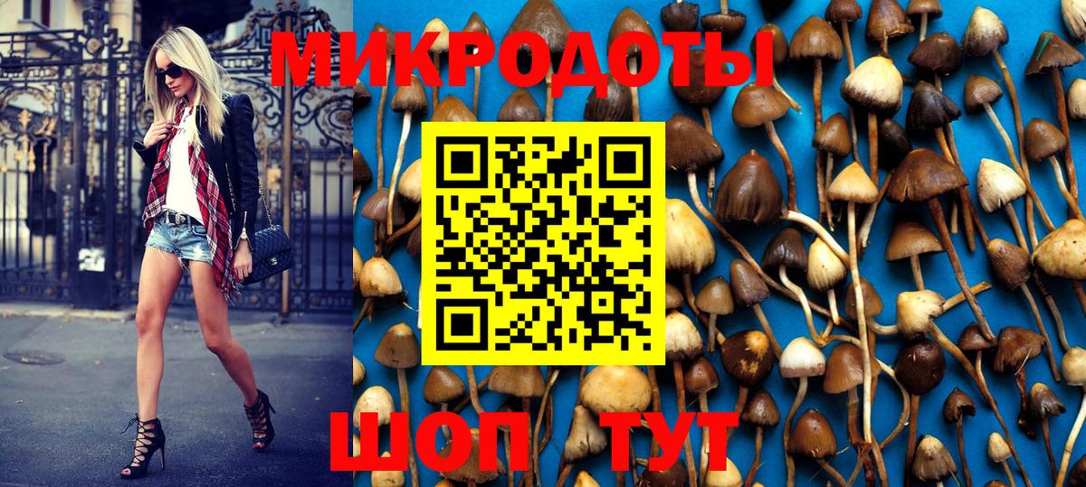 Галлюциногенные грибы Psilocybe  Вход с VPN  Находка  Псилоцибиновые грибы ЛСД 